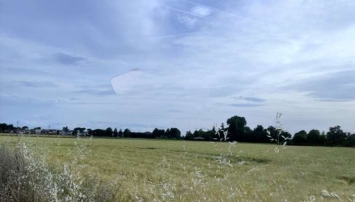 Foto Terreno edificabile in Via dell'Uva, Ravenna di 25745 m² in vendita