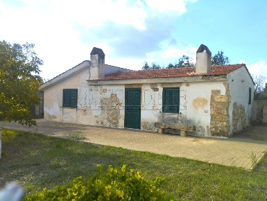 Foto Villa singola in Via Passo del Lupo 4, Matino di 84 m² con 3 locali
