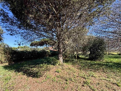 Foto Terreno edificabile in Via dei Faggi  4, Ladispoli di 2470 m²