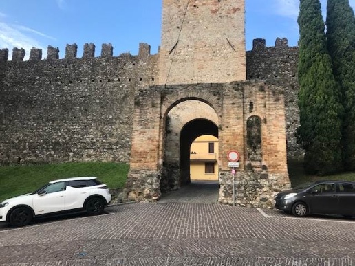 immagine annuncio 8 di 14