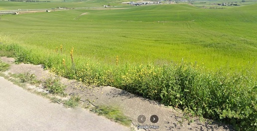 Foto Terreno agricolo a Altamura di 48754 m² in vendita