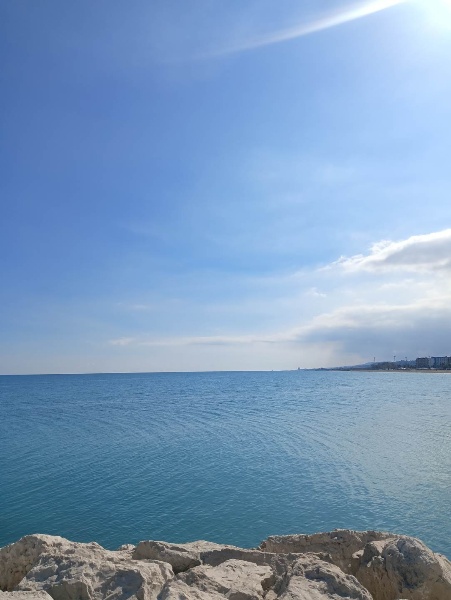 immagine annuncio 1 di 12