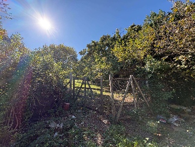 Foto Terreno agricolo a Viterbo San Martino al Cimino - Tobia di 1730 m²