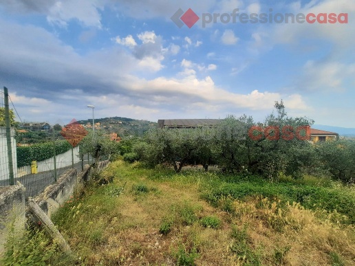 immagine annuncio 3 di 6