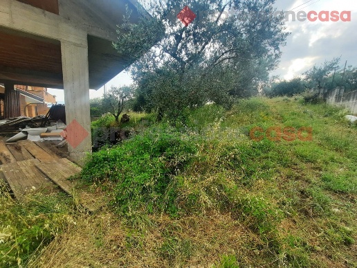 immagine annuncio 4 di 6