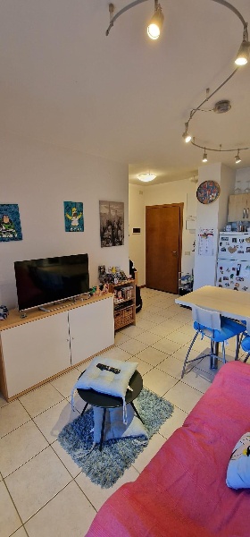 immagine annuncio 9 di 12