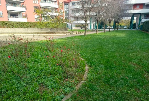 immagine annuncio 11 di 15