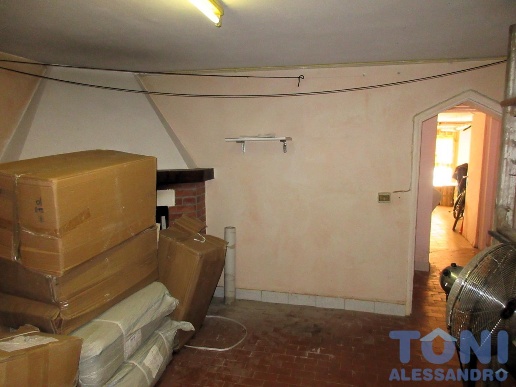 immagine annuncio 12 di 14