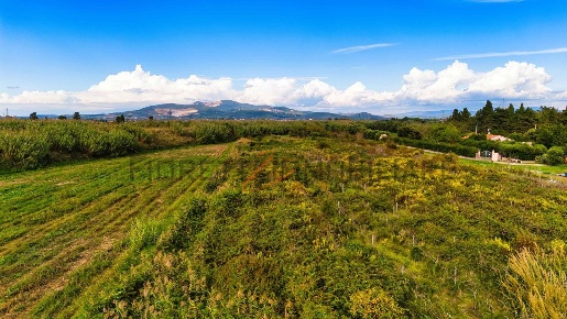 Foto Terreno agricolo a Piombino di 37195 m² in vendita