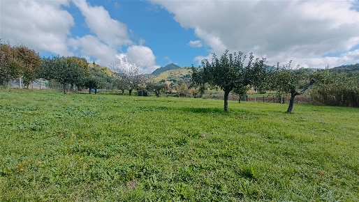 Foto Villa a schiera a Vicchio di 150 m² con 6 locali in vendita