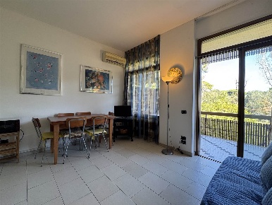 Foto Appartamento a Viareggio Torre del Lago di 50 m² con 1 locali
