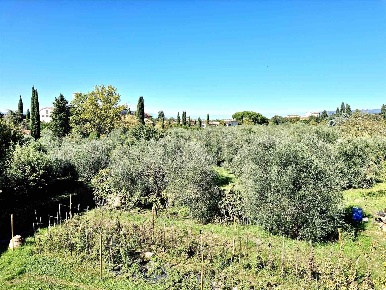 Foto Appartamento a Firenze Castello di 75 m² con 4 locali in vendita