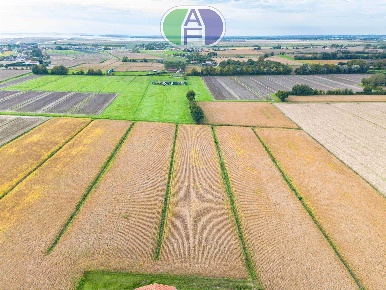 Foto Terreno agricolo in Via Bastie Interne 25, Mira Romea di 50000 m²