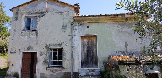 immagine annuncio 1 di 14