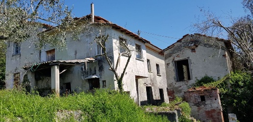 immagine annuncio 2 di 14