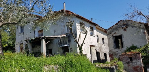 immagine annuncio 3 di 14