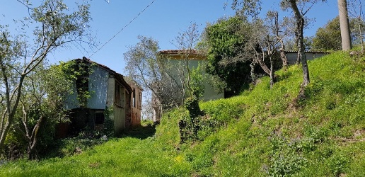 immagine annuncio 4 di 14
