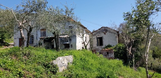 immagine annuncio 6 di 14