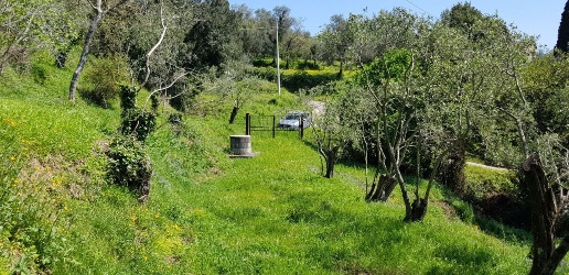 immagine annuncio 8 di 14