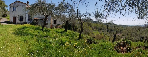 immagine annuncio 13 di 14