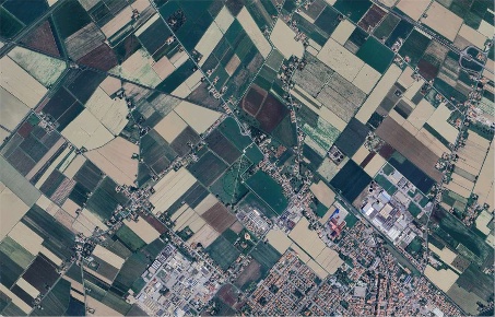 Foto Terreno agricolo in Via Reale, Alfonsine Centro di 3002 m² in vendita