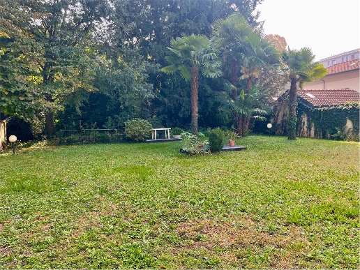 immagine annuncio 9 di 11