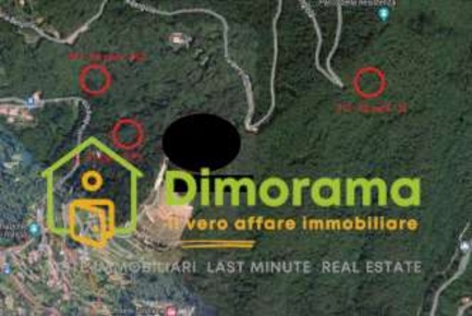 Foto Terreno agricolo in Bargana e Monte di Pasta, Massa Centro di 7503 m²