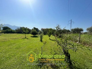 Foto Terreno agricolo in Via di cugna snc, Seravezza di 4000 m² in vendita