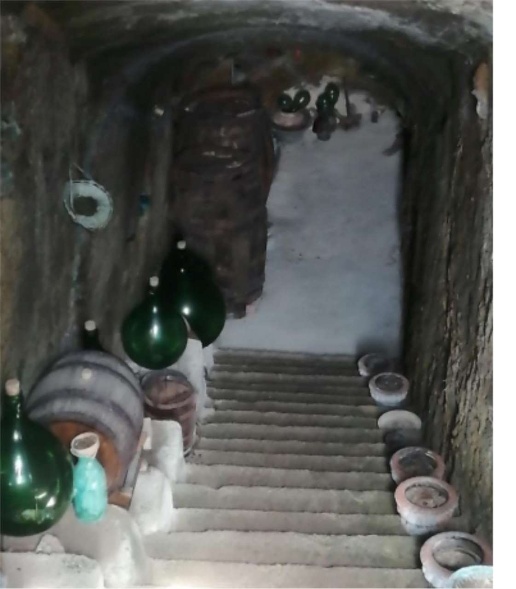 immagine annuncio 12 di 15