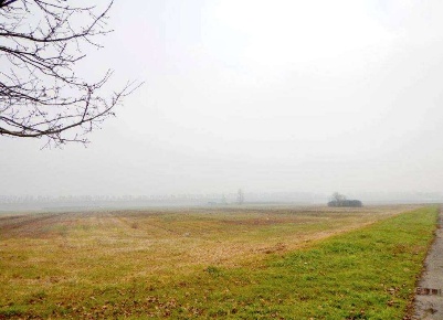 Foto Terreno agricolo in Via L. Fontana, Malalbergo Centro di 16243 m²