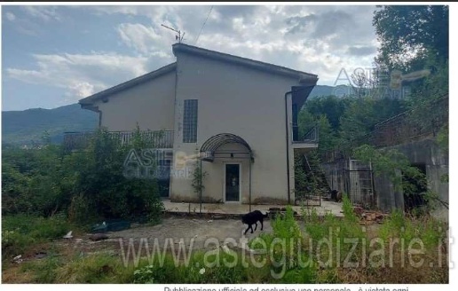 immagine annuncio 1 di 14