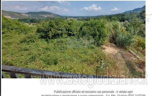 immagine annuncio 6 di 14