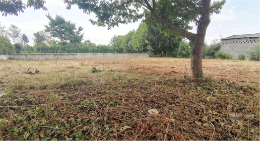 Foto Terreno edificabile in Via Roma, Bressanvido Centro di 1510 m²