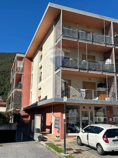 immagine annuncio 2 di 8