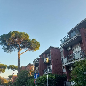 Foto Appartamento in Via Gravina Di Puglia, Roma Torre Gaia di 72 m²