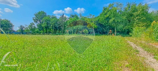 Foto Terreno residenziale a Muscoline San Quirico di 6500 m² in vendita