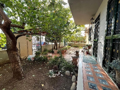 Foto Casa indipendente a San Severo di 179 m² in vendita