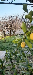 Foto Casa indipendente a Carmignano Comeana di 120 m² con 5 locali