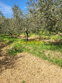 Foto Terreno agricolo a Livorno Limoncino - Valle Benedetta di 4200 m²