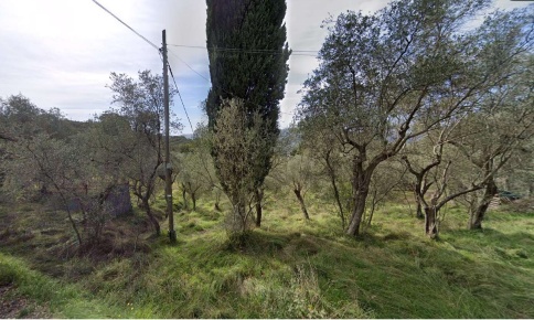 Foto Terreno agricolo a Sarzana Sarzanello, San Lazzaro di 2190 m²