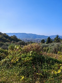Foto Terreno agricolo a Sarzana Sarzanello, San Lazzaro di 2190 m²