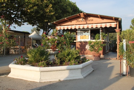 Foto Attività commerciale a Pisa Marina di Pisa con 6 locali in vendita