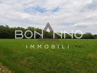 Foto Terreno agricolo in Via Prati del sale, Riese Pio X di 13758 m²