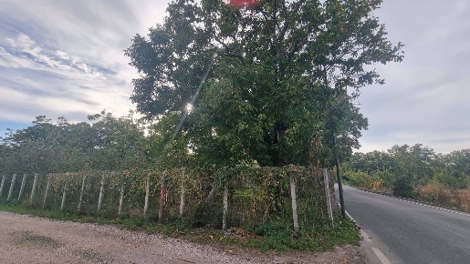 Foto Appartamento a Brusciano di 2400 m² con 1 locali in vendita