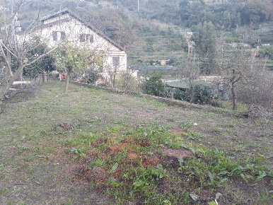 Foto Casa indipendente a Vallecrosia di 250 m² con 12 locali in vendita