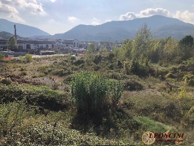 Foto Bar in Località Ragnaia, Aulla Centro di 21409 m² in vendita