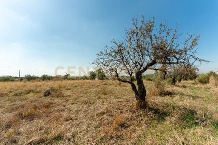 Foto Terreno agricolo in Via Margarone 5, Motta Sant'Anastasia di 10 m²