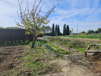 Foto Casa indipendente a Cascina Navacchio Nord - Zambra di 160 m²