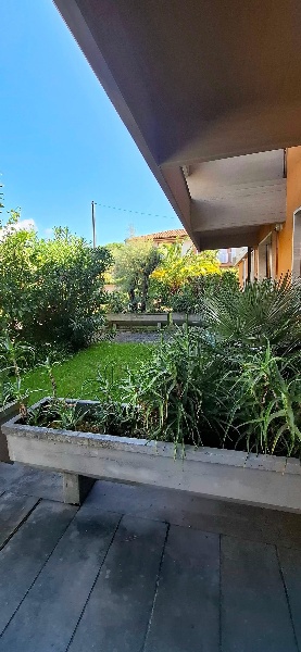 immagine annuncio 2 di 14