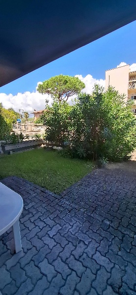 immagine annuncio 3 di 14